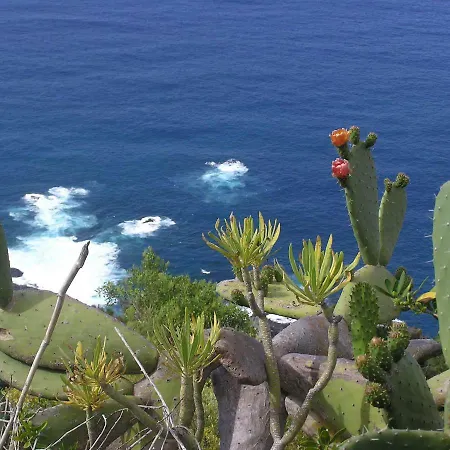 Appartamento Apartamento Cerca Del Mar En Tenerife